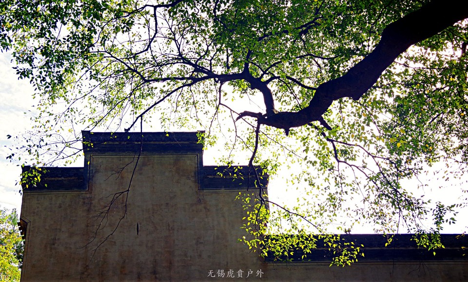 微信图片_20191103084020