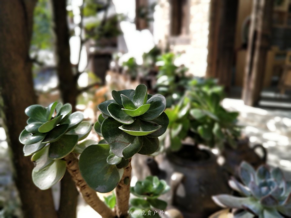 微信图片_20191103084034