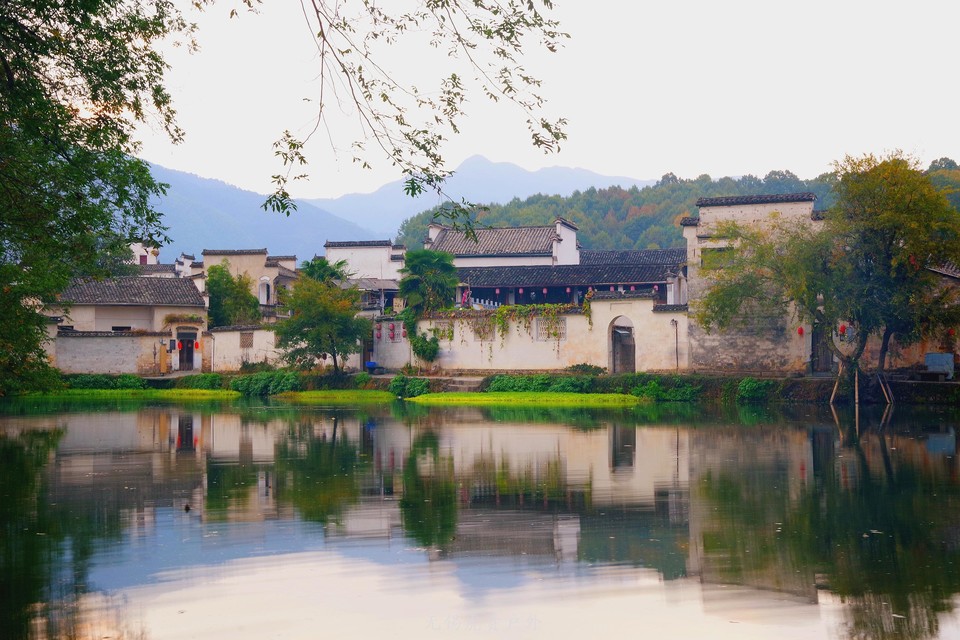 微信图片_20191103084146