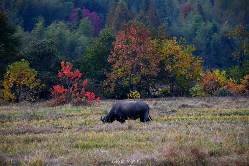 微信图片_20191103183908