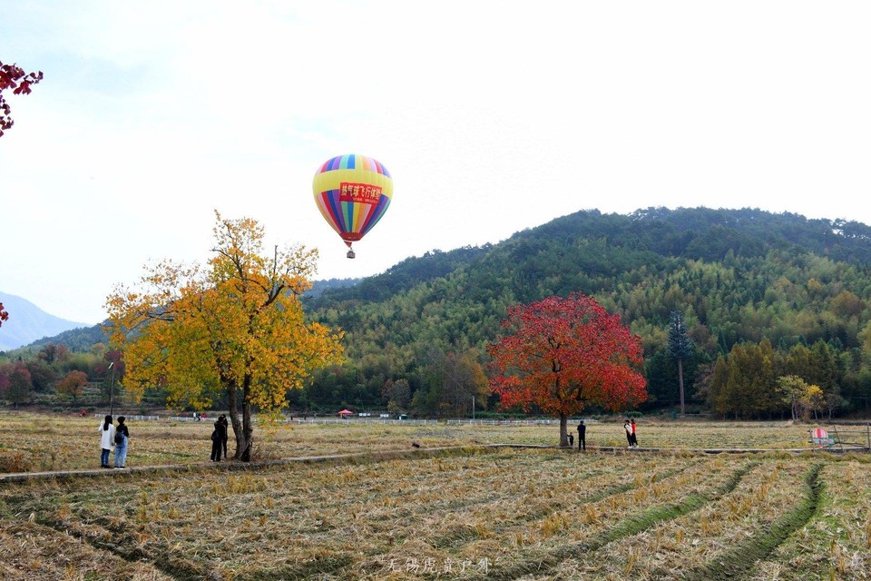 微信图片_20191103183914