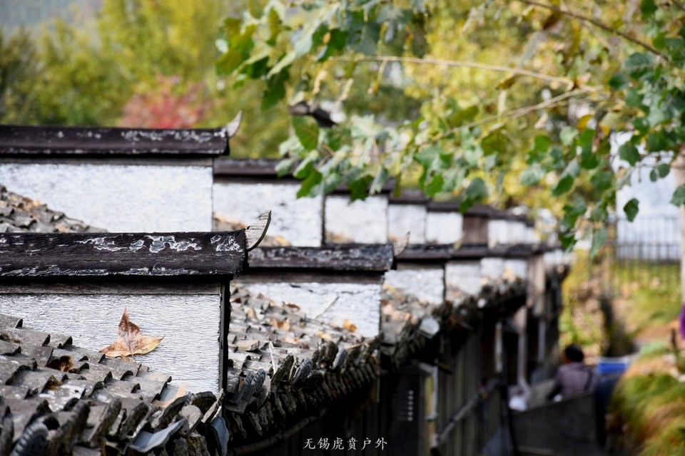 微信图片_20191103183923