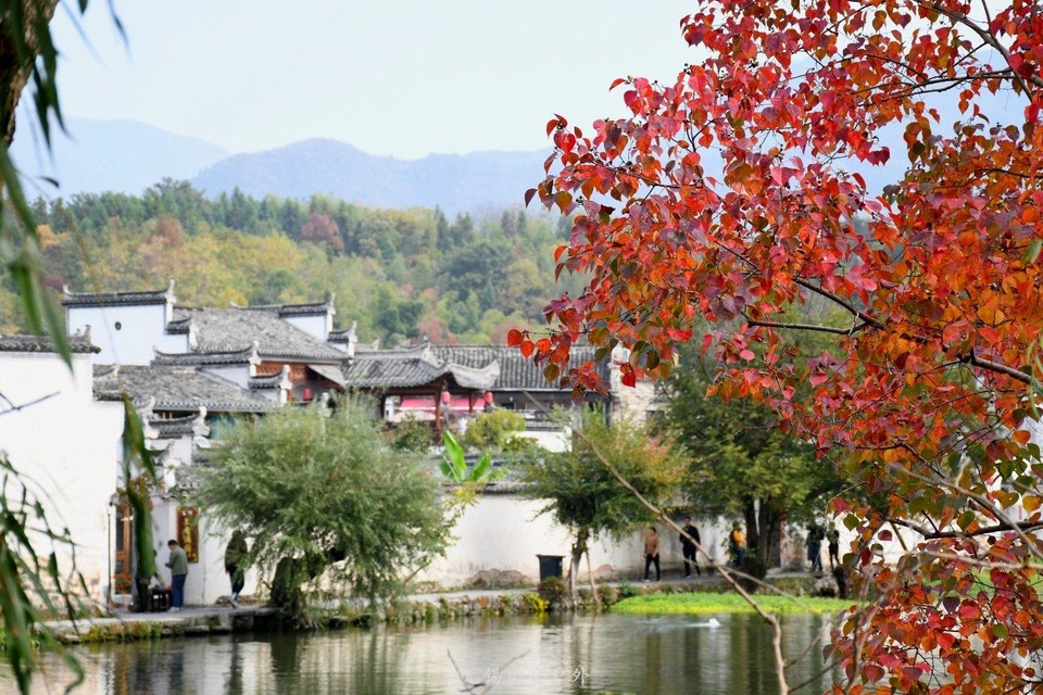 微信图片_20191103183929