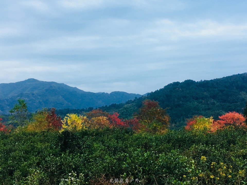 微信图片_20191103184741