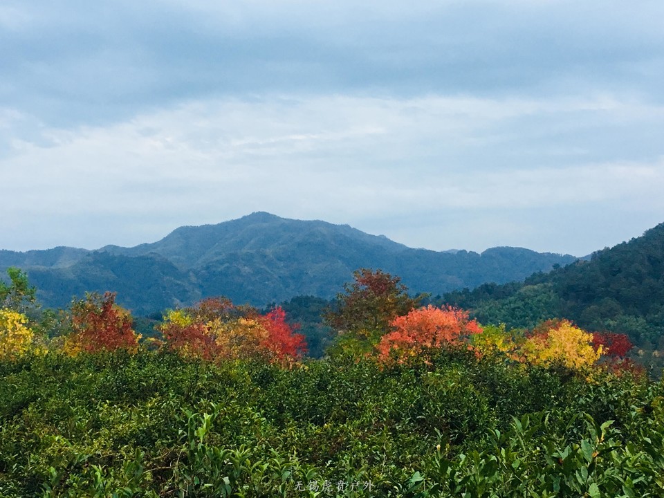 微信图片_20191103184750