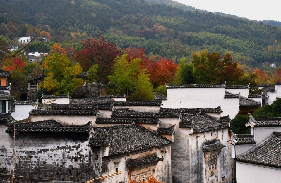 微信图片_20191103184822