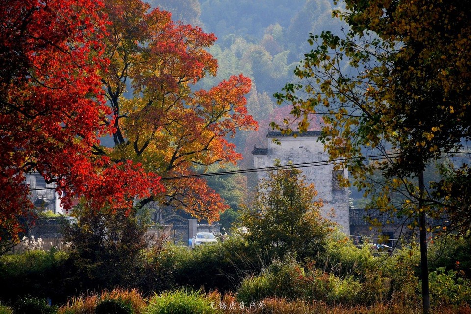 微信图片_20191103184831