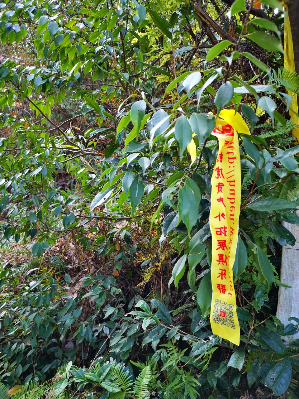 微信图片_20191109185852