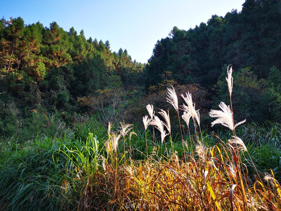 微信图片_20191109190334