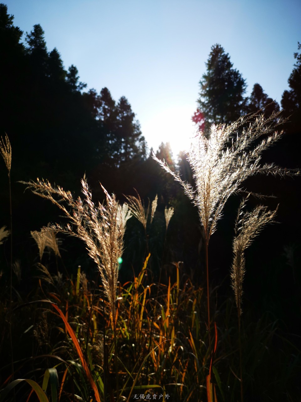 微信图片_20191109190658