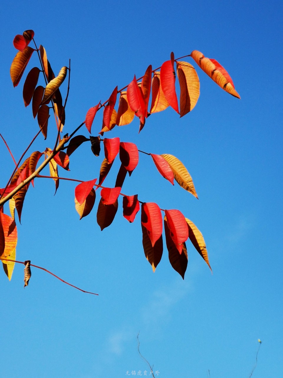 微信图片_20191109191156