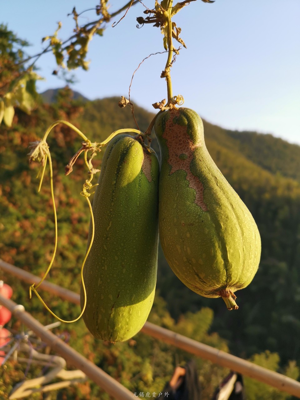 微信图片_20191109191707