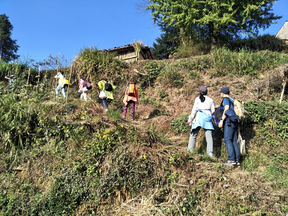 微信图片_20191109192847