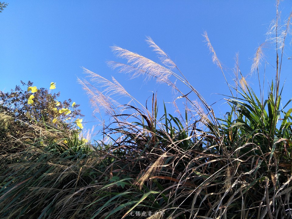 微信图片_20191109193042