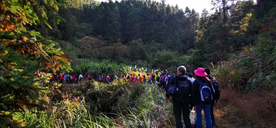 微信图片_20191109193321