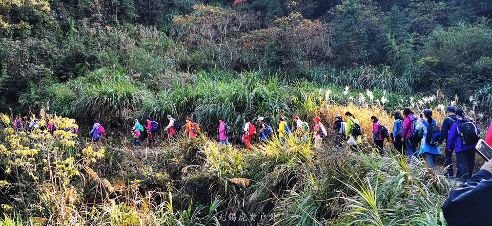 微信图片_20191109193339