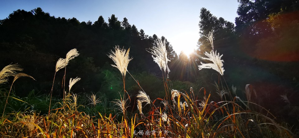 微信图片_20191109193552