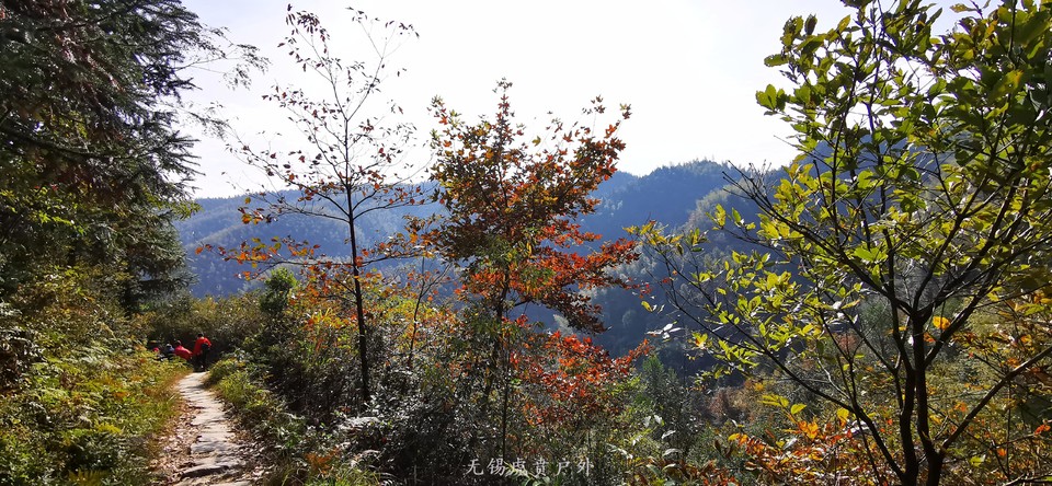 微信图片_20191110150753