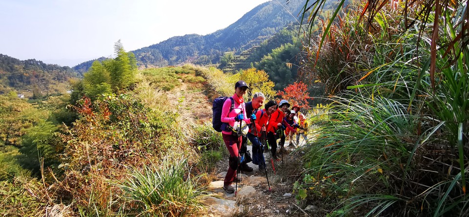 微信图片_20191110151018