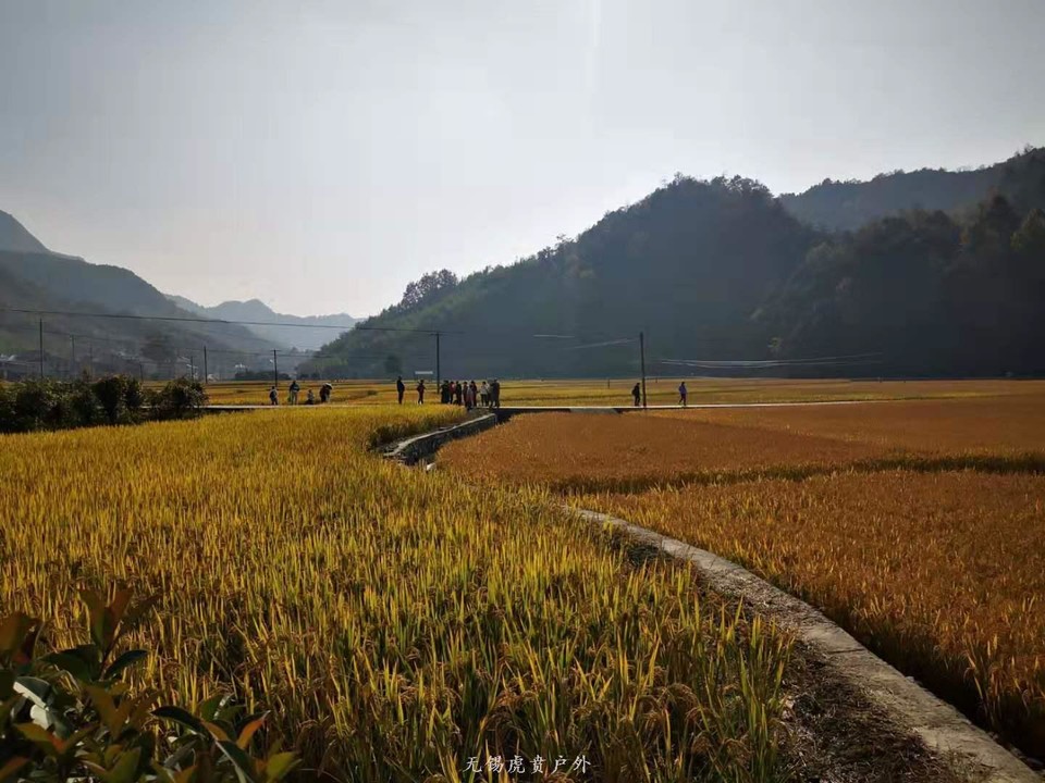 微信图片_20191109164744