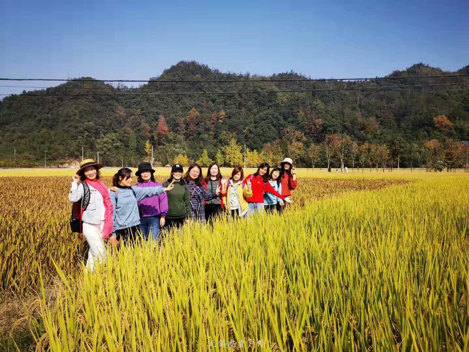 微信图片_20191109164906