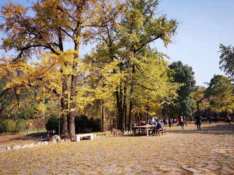 微信图片_20191109164911