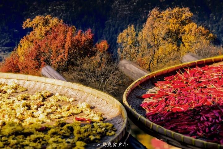 微信图片_20191109165034