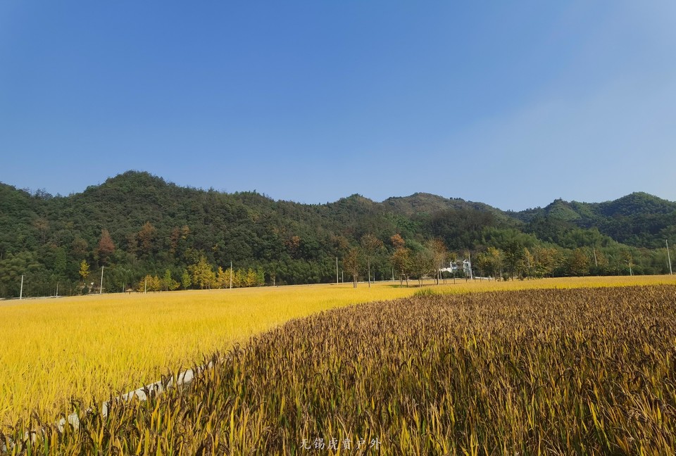 微信图片_20191109165305