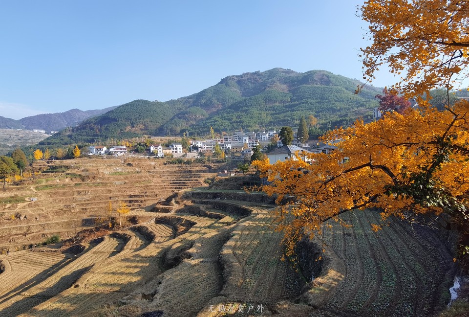 微信图片_20191110145749