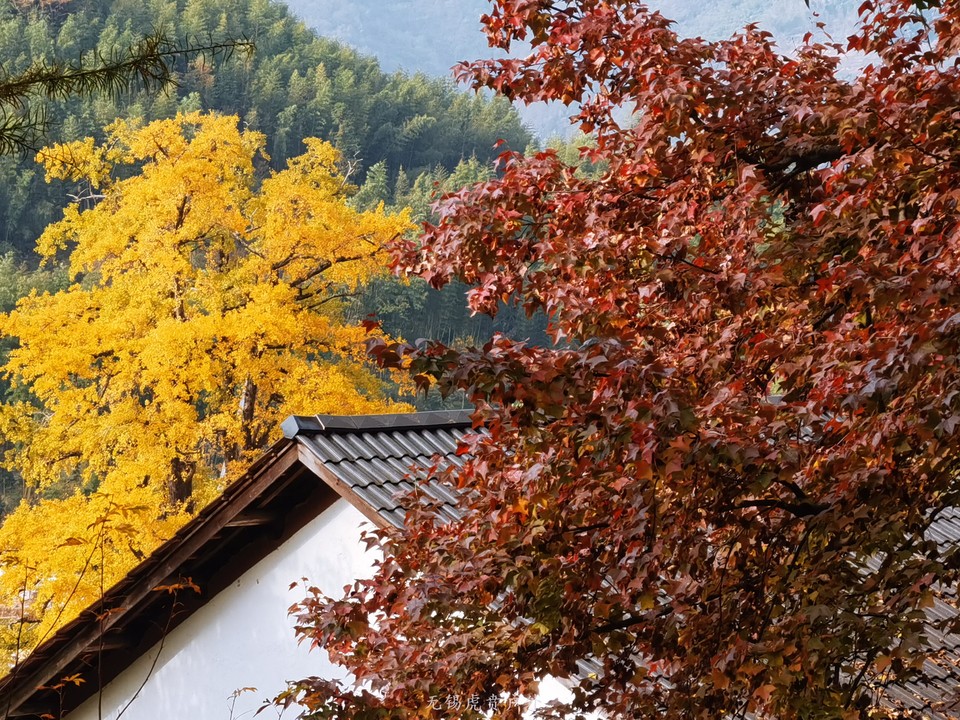 微信图片_20191110145804