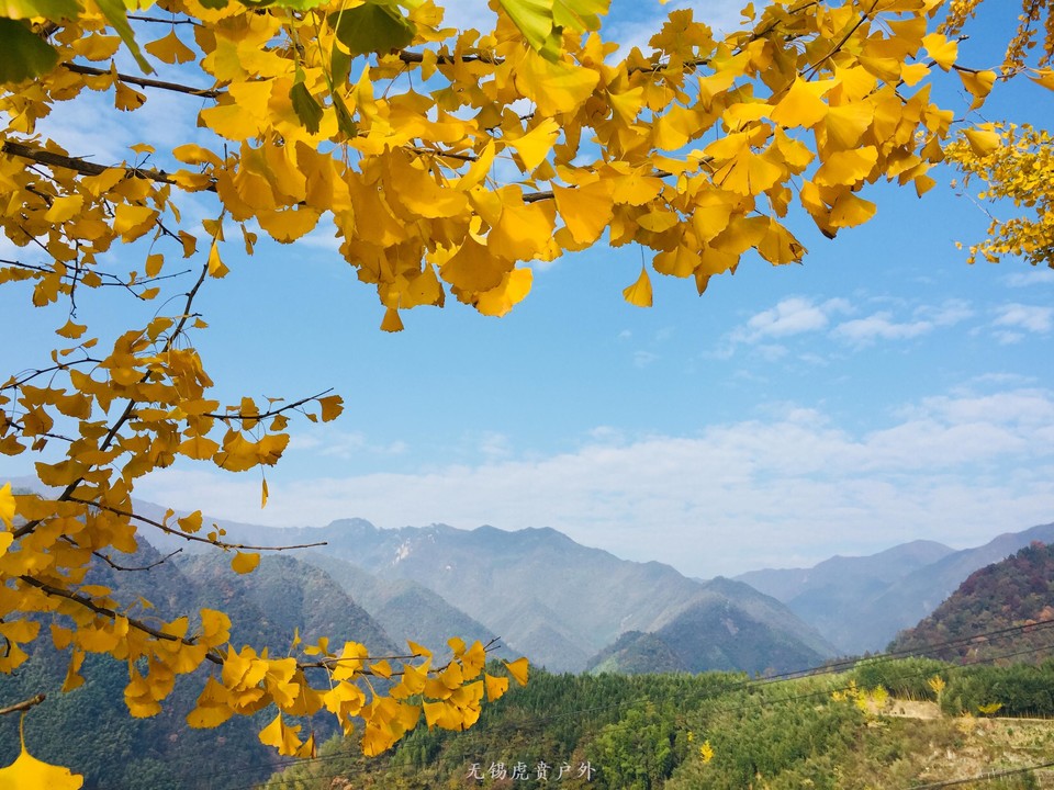 微信图片_20191110145823