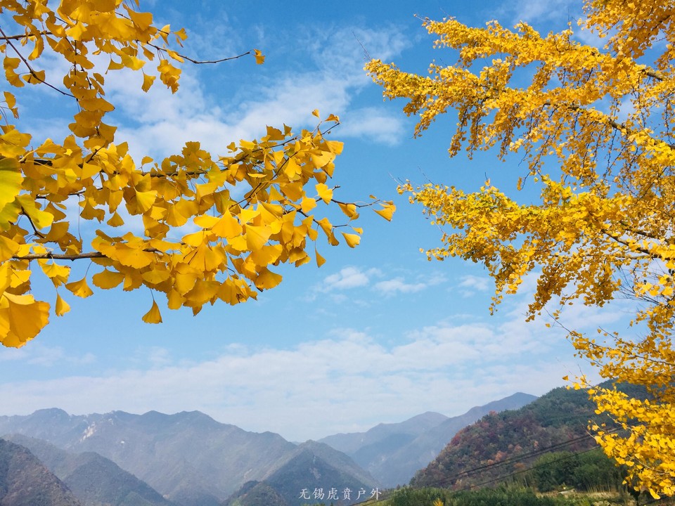 微信图片_20191110145826