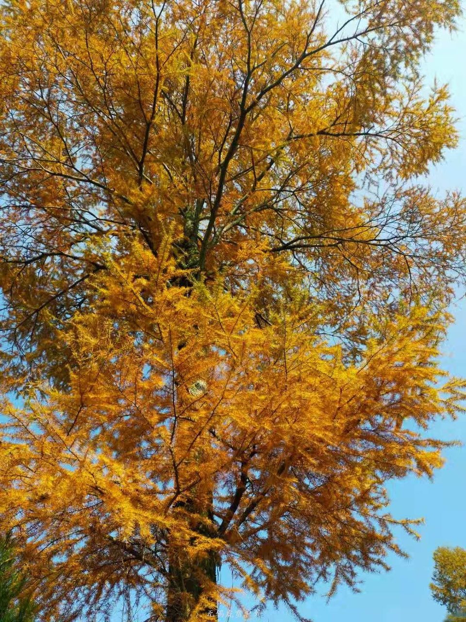 微信图片_20191110150250