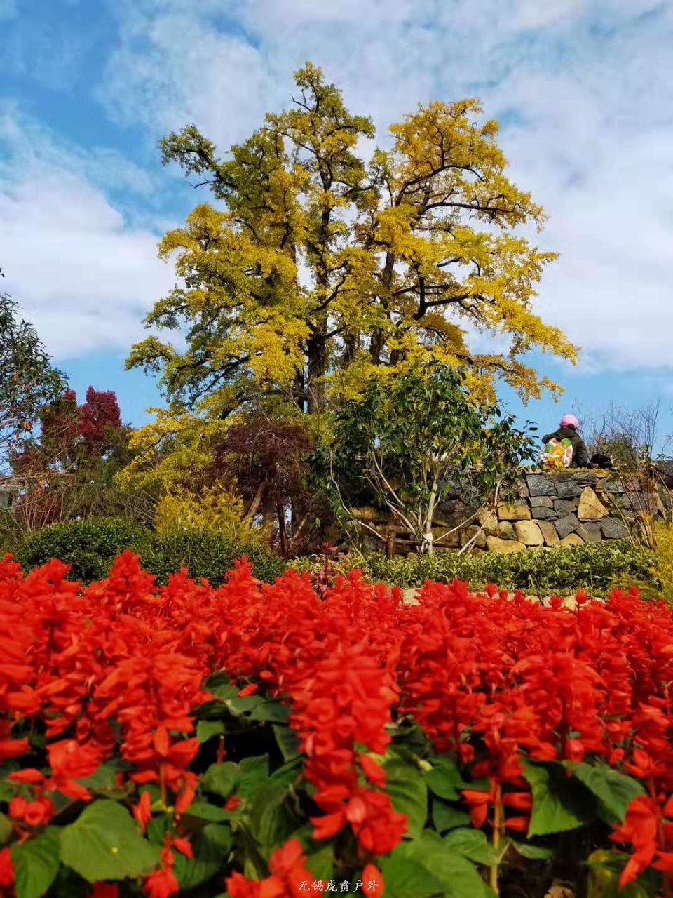 微信图片_20191110150255