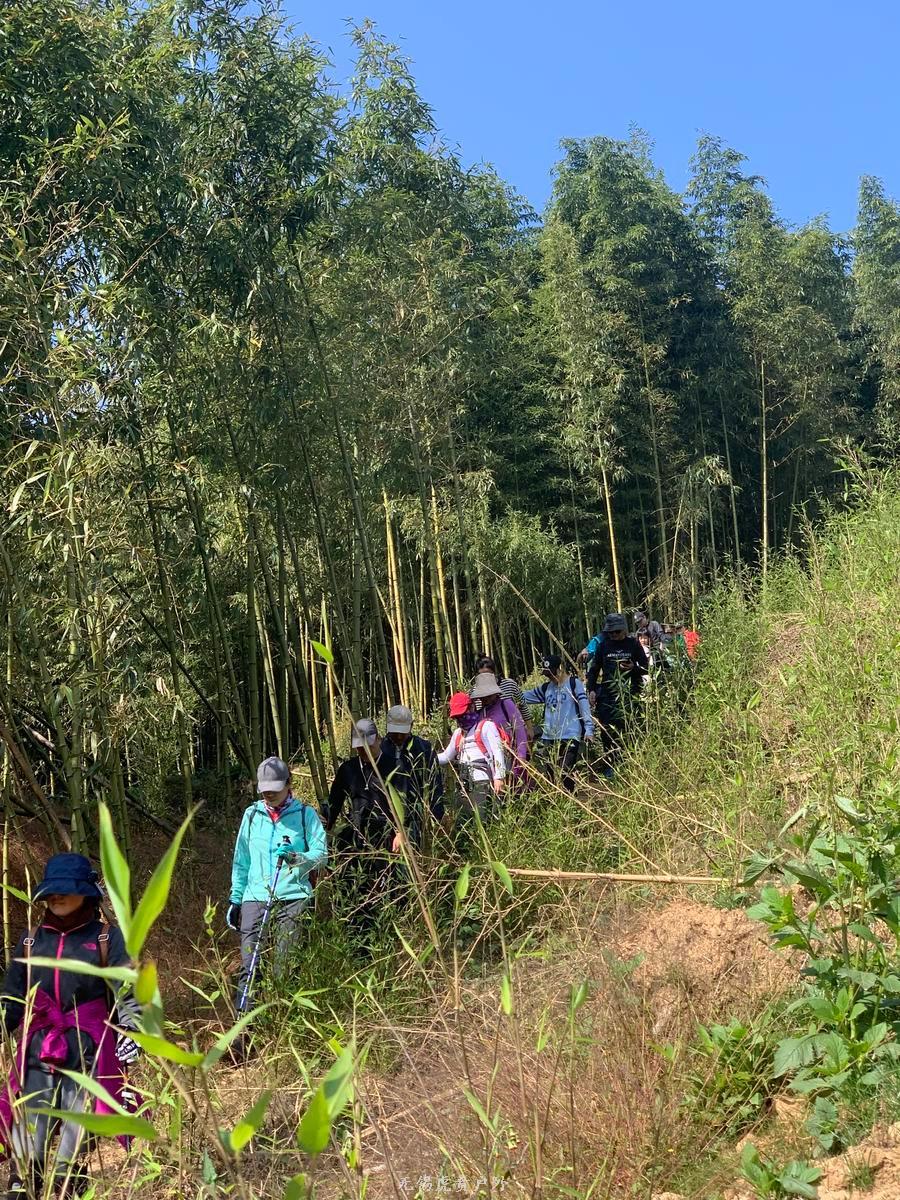 微信图片_20191110145923