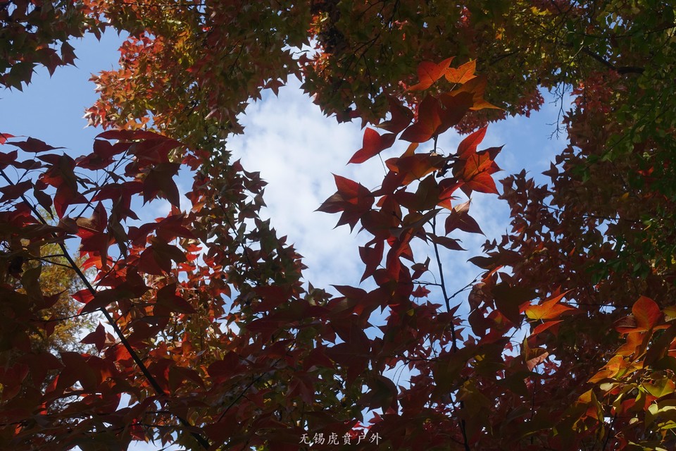 微信图片_20191111093819