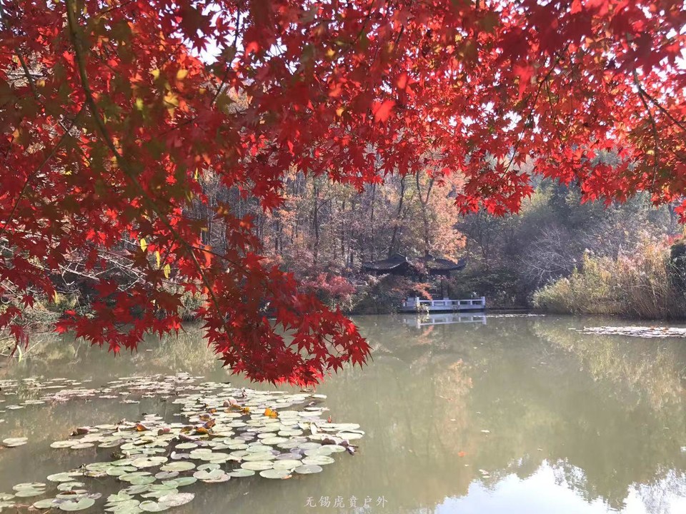 微信图片_20191118102745