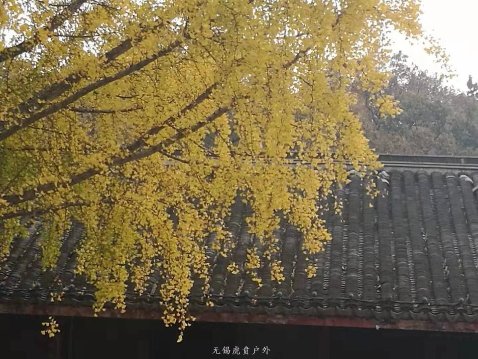 微信图片_20191118102748