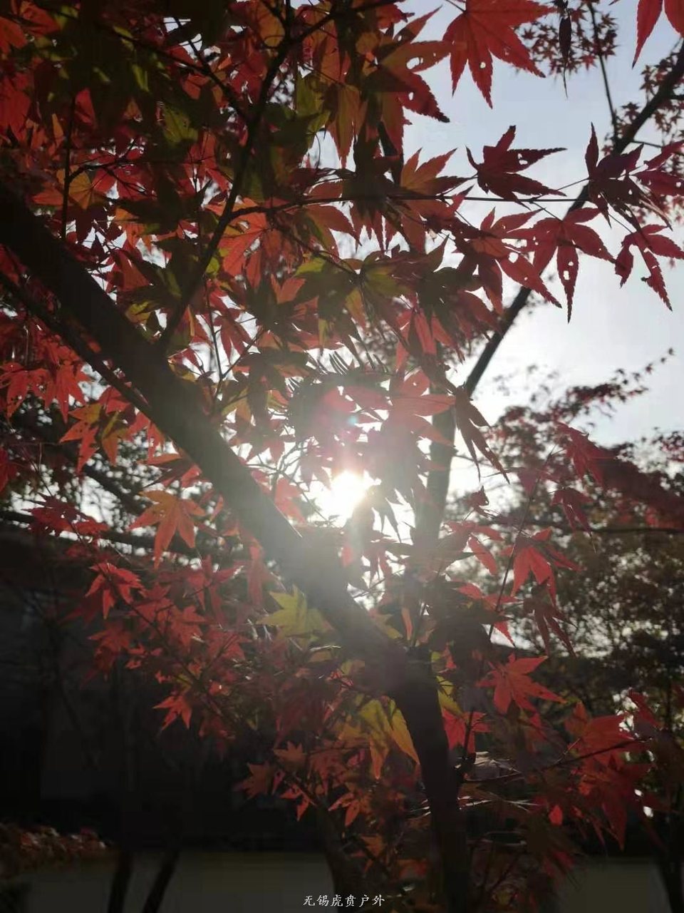 微信图片_20191118102753