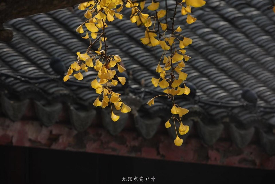 微信图片_20191118102818