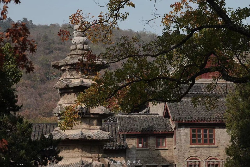 微信图片_20191118102820