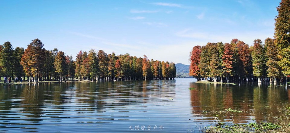 微信图片_20191118111017