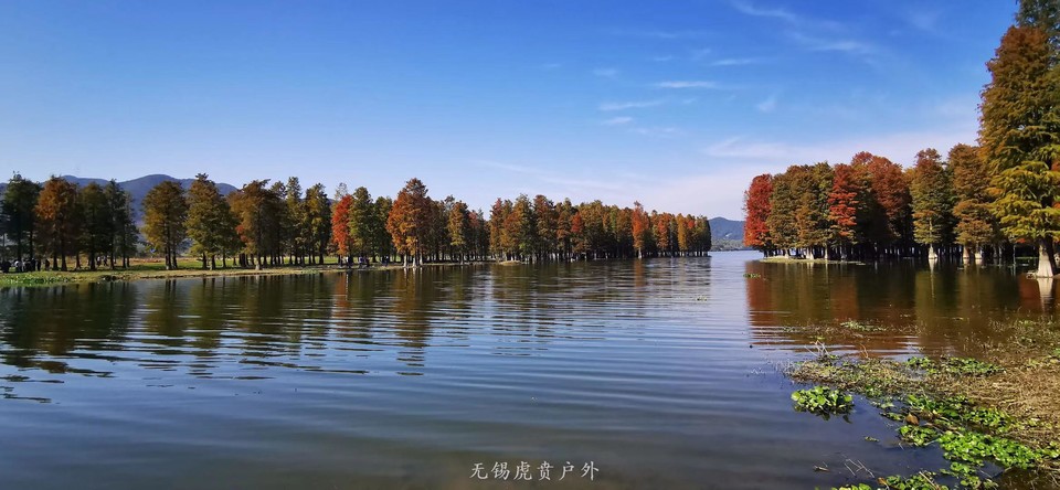 微信图片_20191118111021