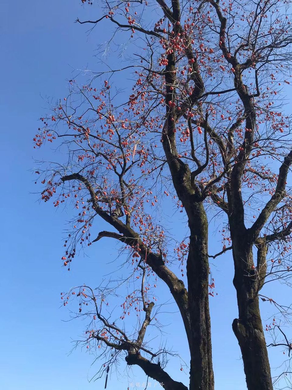 微信图片_20191118111105