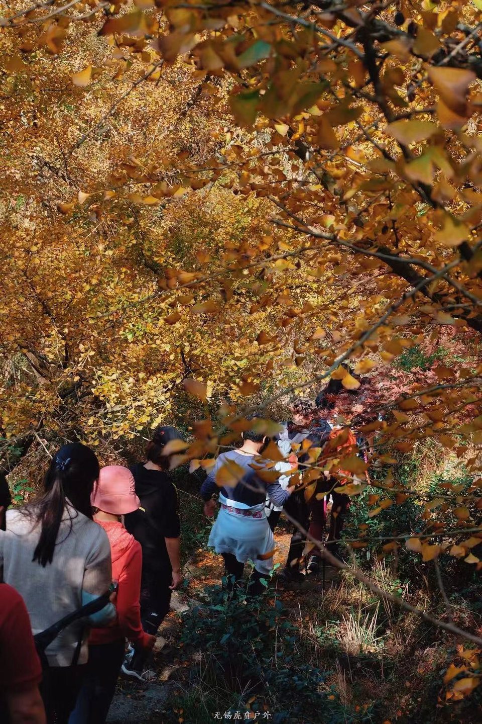 微信图片_20191118111108