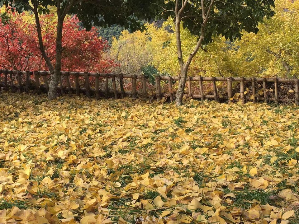 微信图片_20191118111134