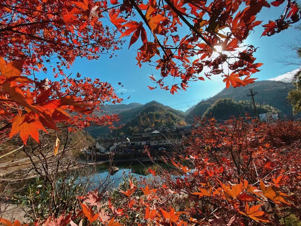 微信图片_20191118111154