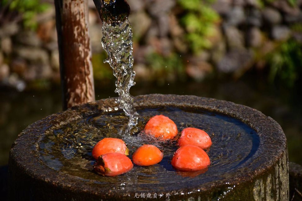 微信图片_20191118111157