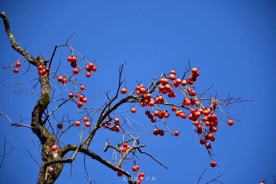 微信图片_20191118111201