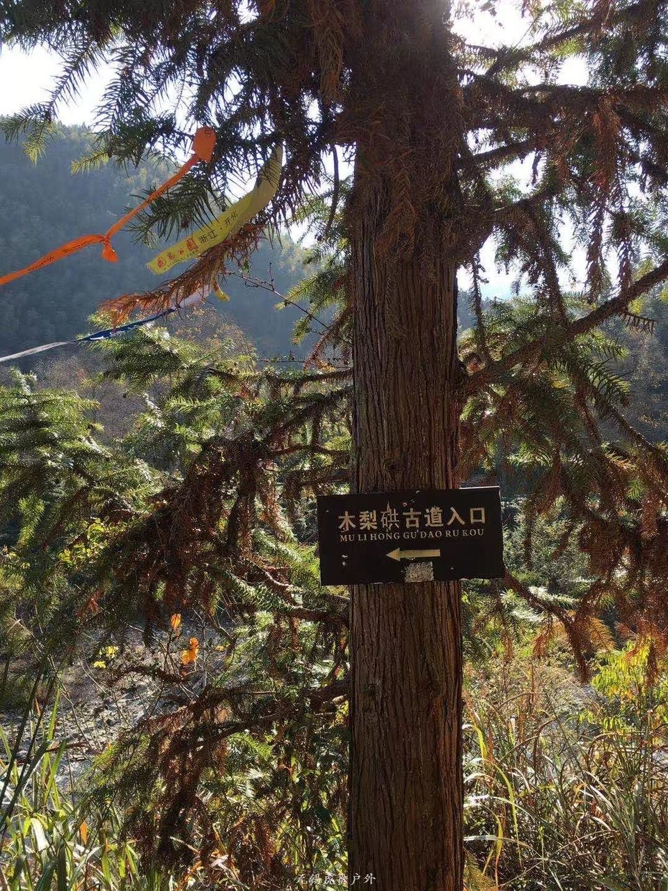 微信图片_20191118120941